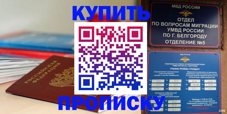прописка для работы в Ступино